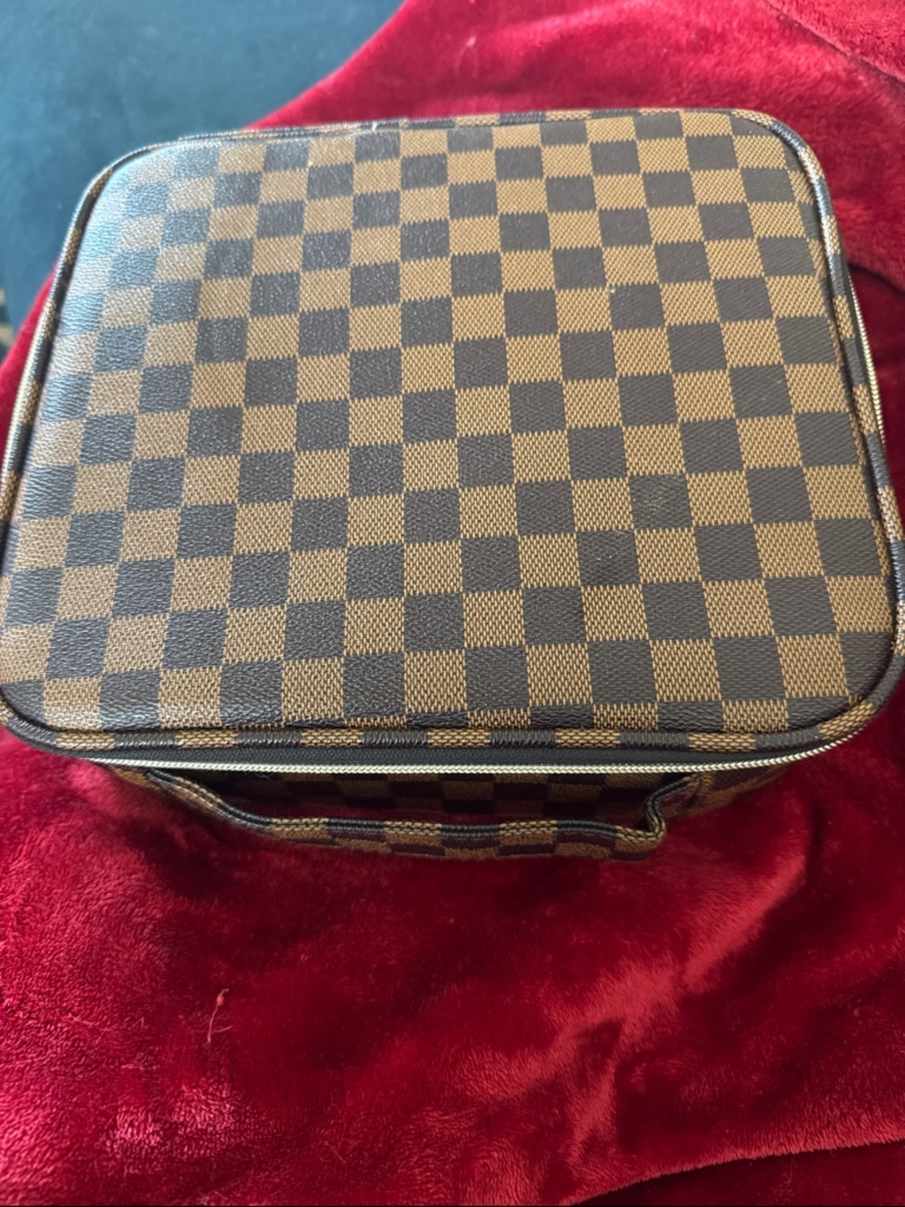 Brown Checkered Travel Case